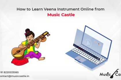 How to Learn Veena Instrument Online from Music Castle